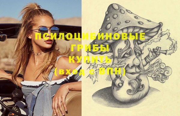прущая мука Алзамай